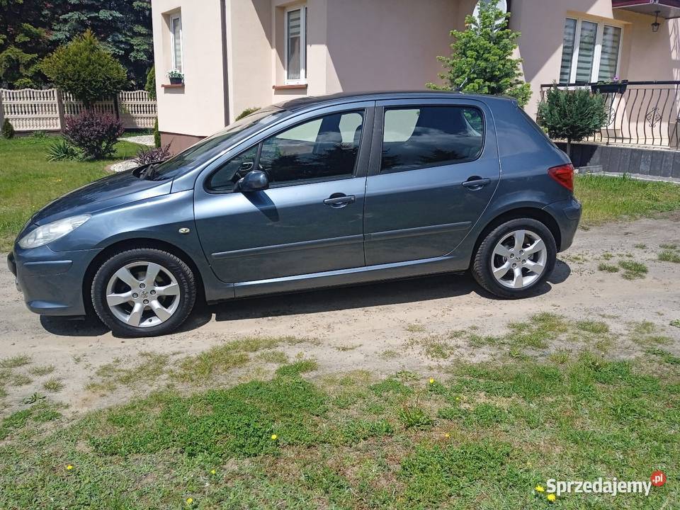 Peugeot 307 16 BenzynaKlimatyzacja210Prrzebieg Łagów