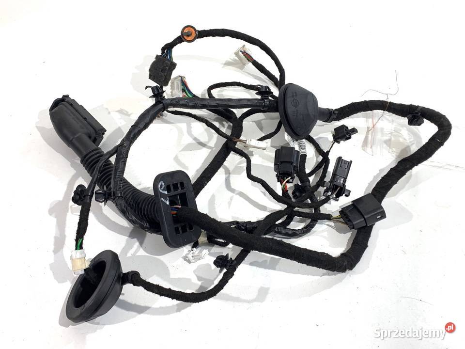 WIĄZKA DRZWI PRZÓD LEWY SSANGYONG TORRES osobowe podkarpackie