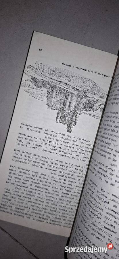 Wyżyna Krakowsko Częstochowska przewodnik 1 Łęczyca