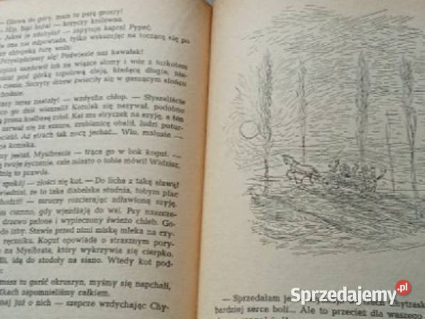 Porwanie w Tiutiurlistanie W Żukrowski 1965 Książki i Podręczniki Łódź sprzedam