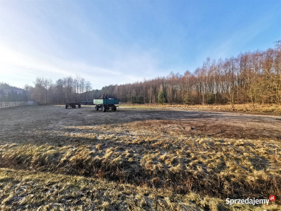Ogłoszenie działka 2600m2 Drzązna 2600m2 łódzkie