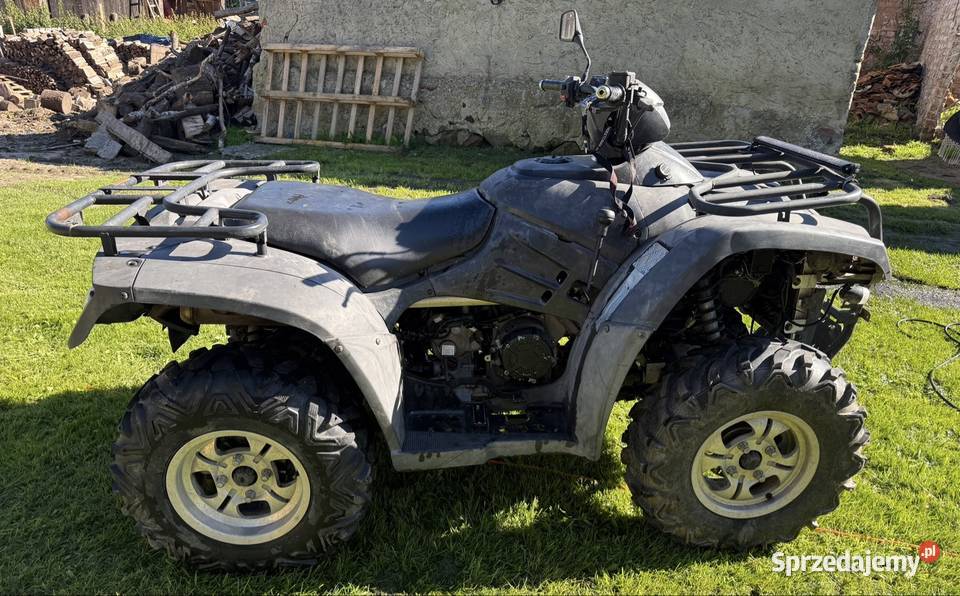 Lingai 300 4x4 2009r wtrysk 300cm3 Olsztyn