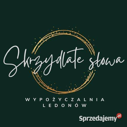 Napis ledowy neon Zapisani sobie w gwiazdach