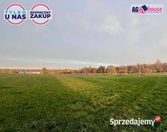 Grunt 2346m2 Pomlewo Kasztanowa telefon