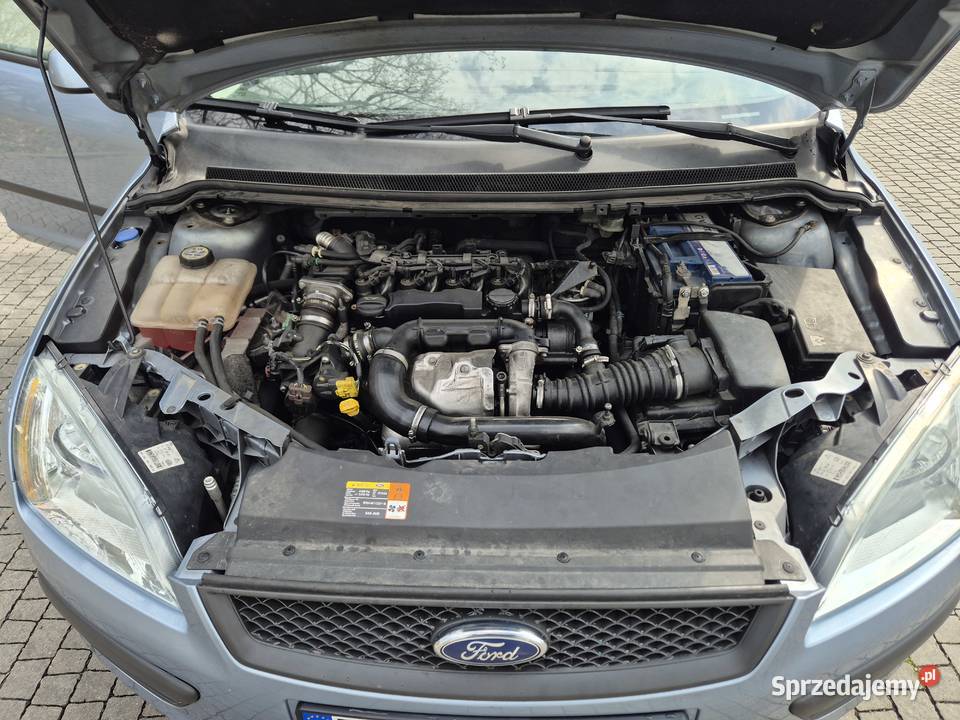 FORD FOCUS 16 Diesel Focus sprzedam