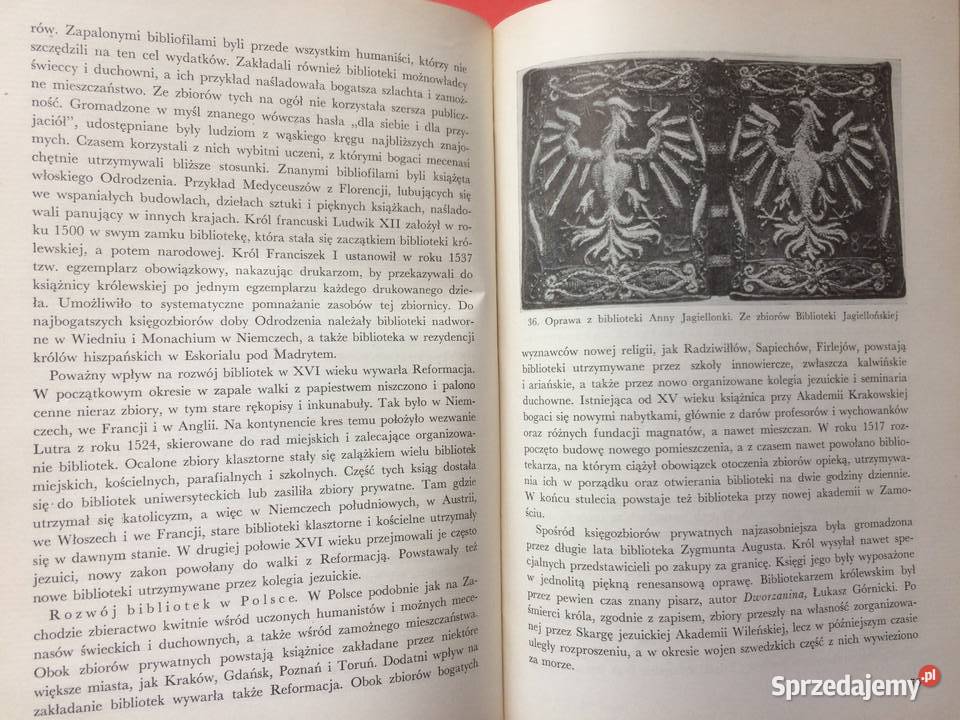 3272 Zarys Dziejów Książki I Księgarstwa Antyki, Sztuka, Kolekcje Szczecin sprzedam