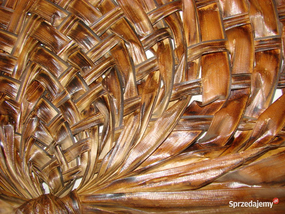 wachlarz z liści palmy Pruszcz Gdański