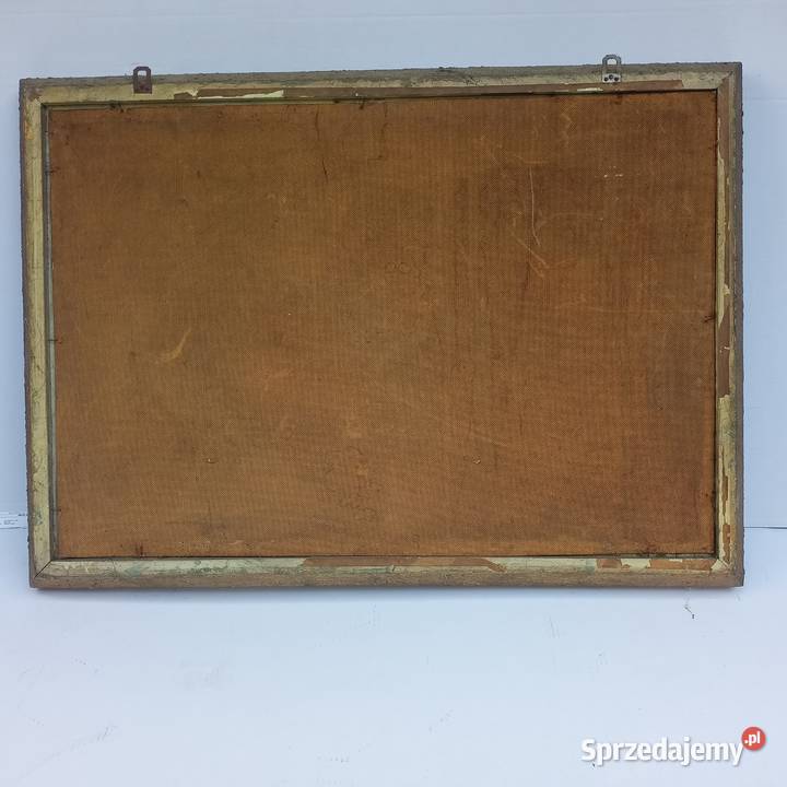 Obraz pejzaż góry rzeka Malarstwo Zabrze