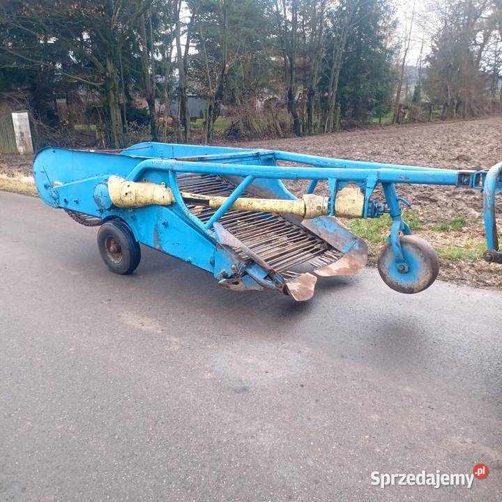 Kopaczka elewatorowa do ziemniaków lubelskie Piaski