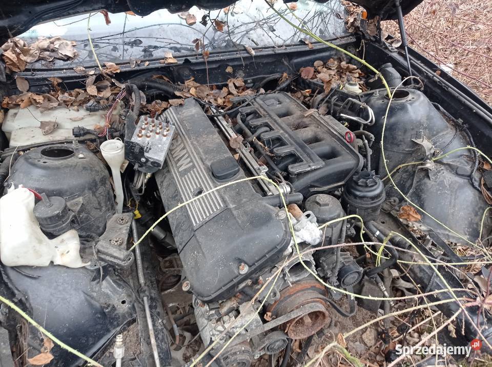 BMW E39 na części Rok produkcji 2000 Seria 5 Motoryzacja mazowieckie