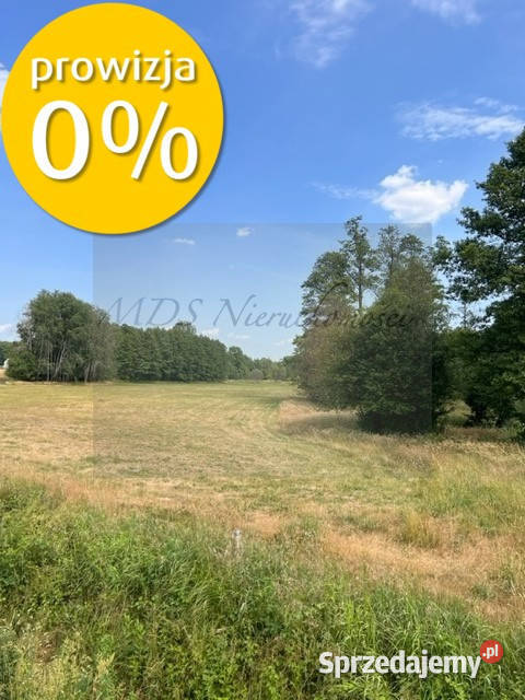 działka z WZ Węgrów Szamoty