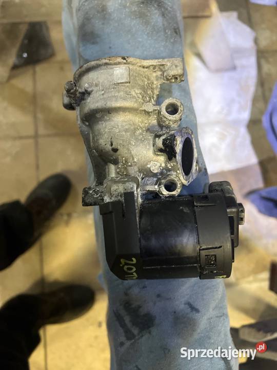 Egr VOLVO Ford 20 tdci Radzyń Podlaski