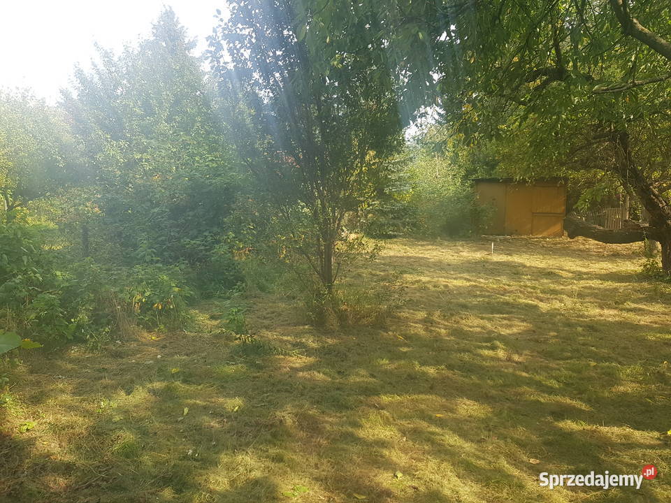 Mega Promocjia do niewielkiej negocjacji Warszawa