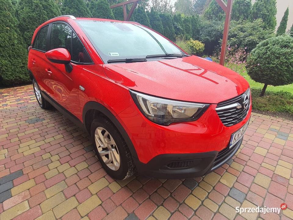 OPEL CROSSLAND X 12 BENZYNA 2019 KUPIONY W SALON 4/5 Łęg Tarnowski