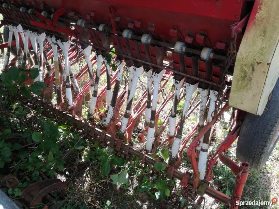 Siewnik poznaniak 25m Kostków