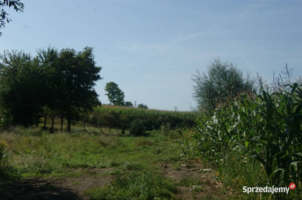 Działki budowlane w Starych Bogaczowicach Sprzedaż Grunty i działki Stare Bogaczowice