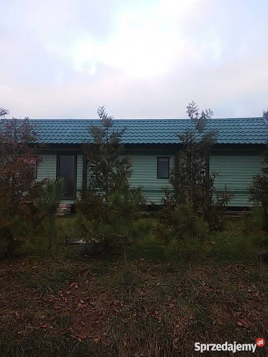 sprzedam domek holenderski dzierżawa działki Dźwierszno Małe sprzedam
