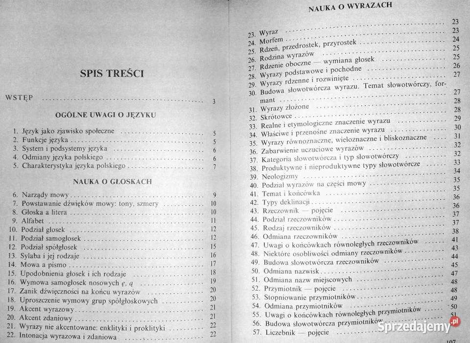 Kompendium gramatyki polskiej Mieczysław Rak lubelskie Chełm