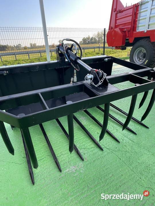 Krokodyl Cayman 14m świętokrzyskie Końskie