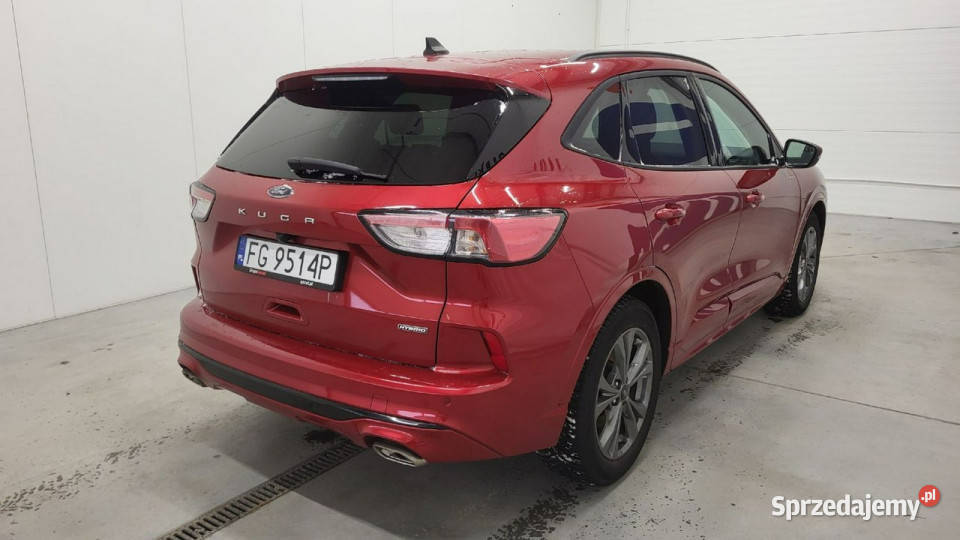 Ford Kuga 25 FHEV FWD STLine X III 2019 Grójec sprzedam