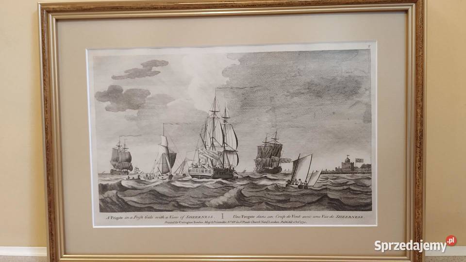 12 sztuk grafiki autor John Cleveley z roku 1770 Dekoracje i ozdoby Piła