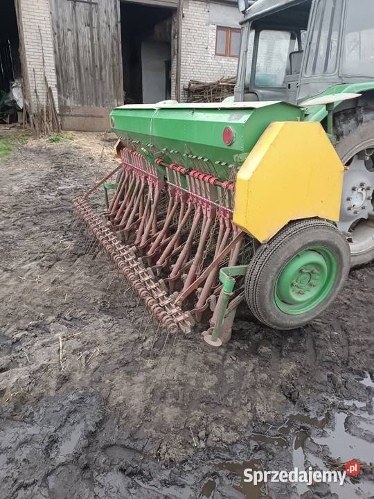 Siewnik Poznaniak kujawsko-pomorskie Radziejów