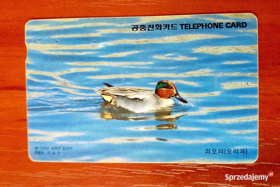 KACZKA PŁYWAJĄCA WODZIE KARTA TELEFONICZNA Piszczac