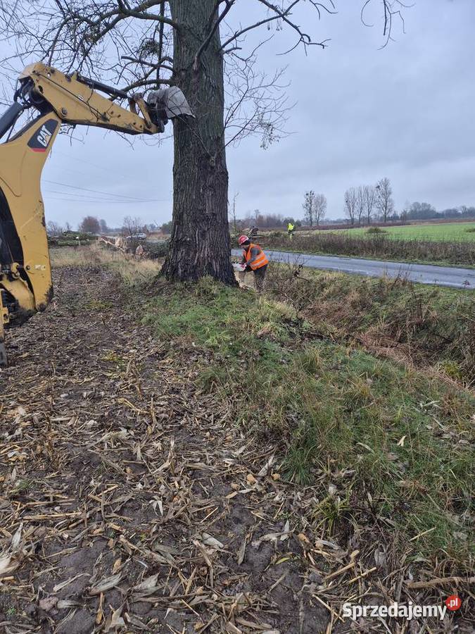 Przyjmę gałezie korzenie konary drewno palety Gąbin
