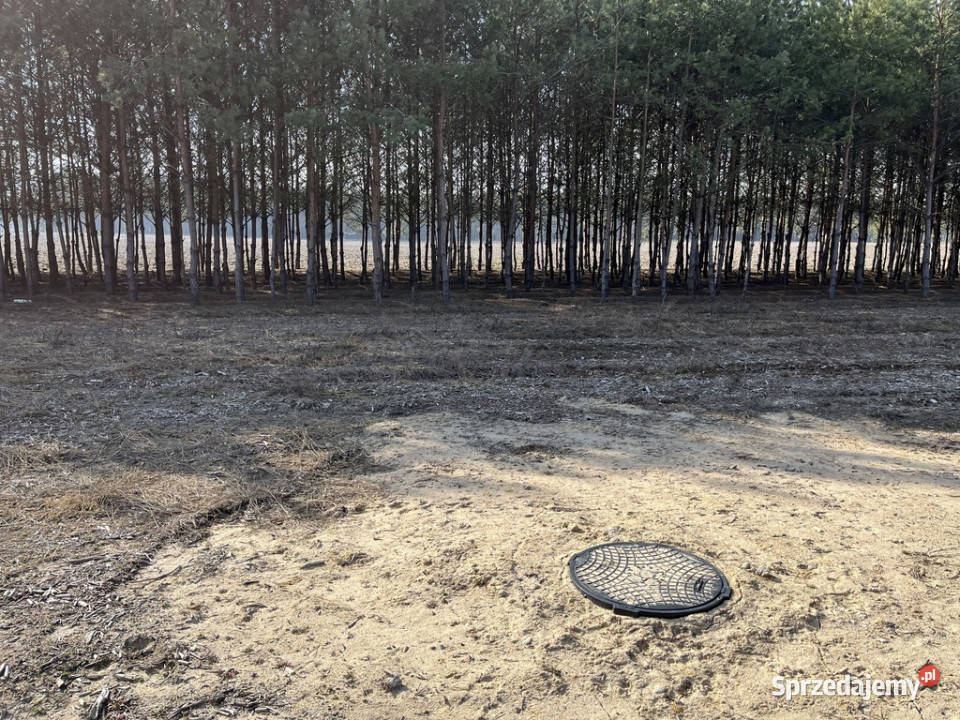 Działka z WZ w Wólce Gonciarskiej gm Kazanów Sprzedaż mazowieckie Wólka Gonciarska sprzedam