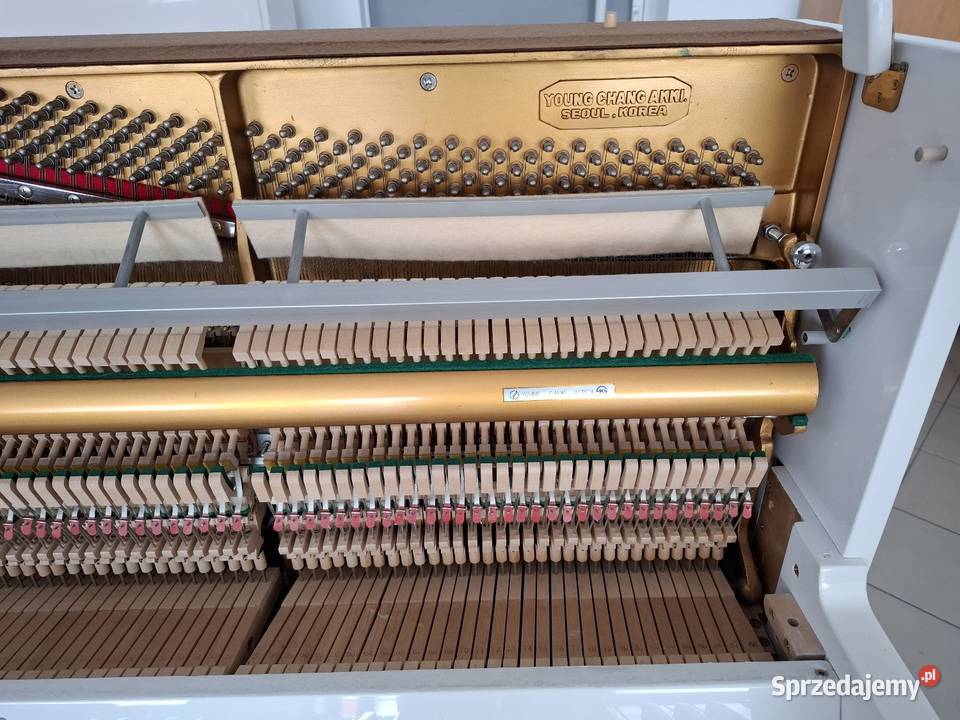 Pianino Young Chang 121 białe nowe Brzesko sprzedam