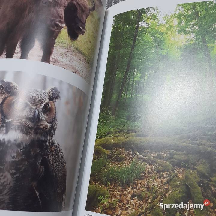 Album Zabytki UNESCO w Polsce Stan idealny Jarosław sprzedam