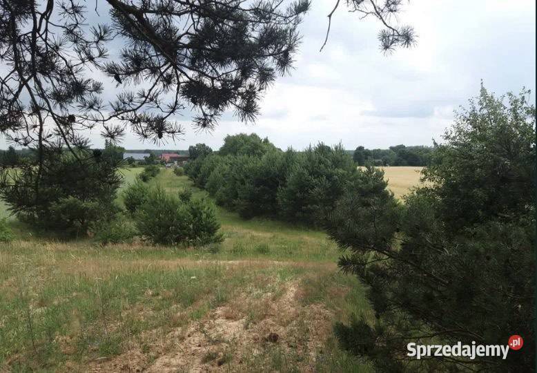 Działka z możliwością zabudowy 3800m2 Świerczyna