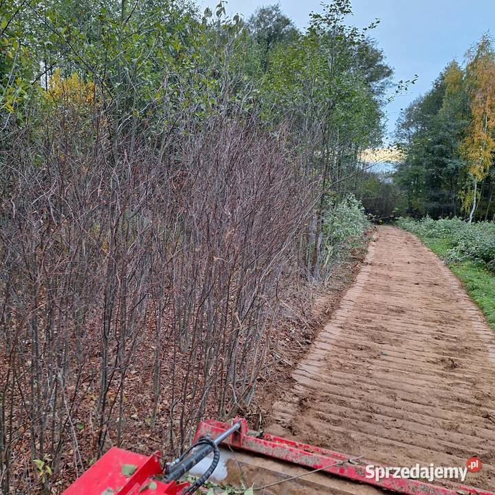 Czyszczenie działek Karczowanie i usuwanie drzew