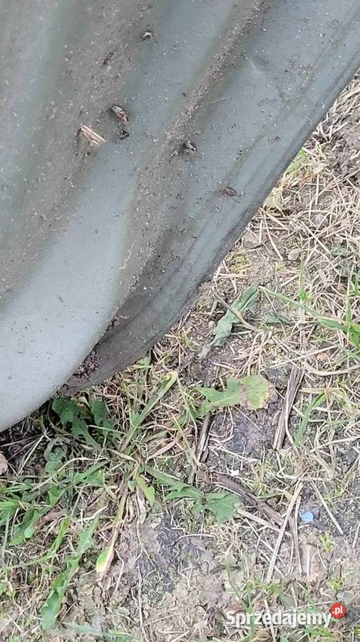 Drzwi Renault Thalia Łagów