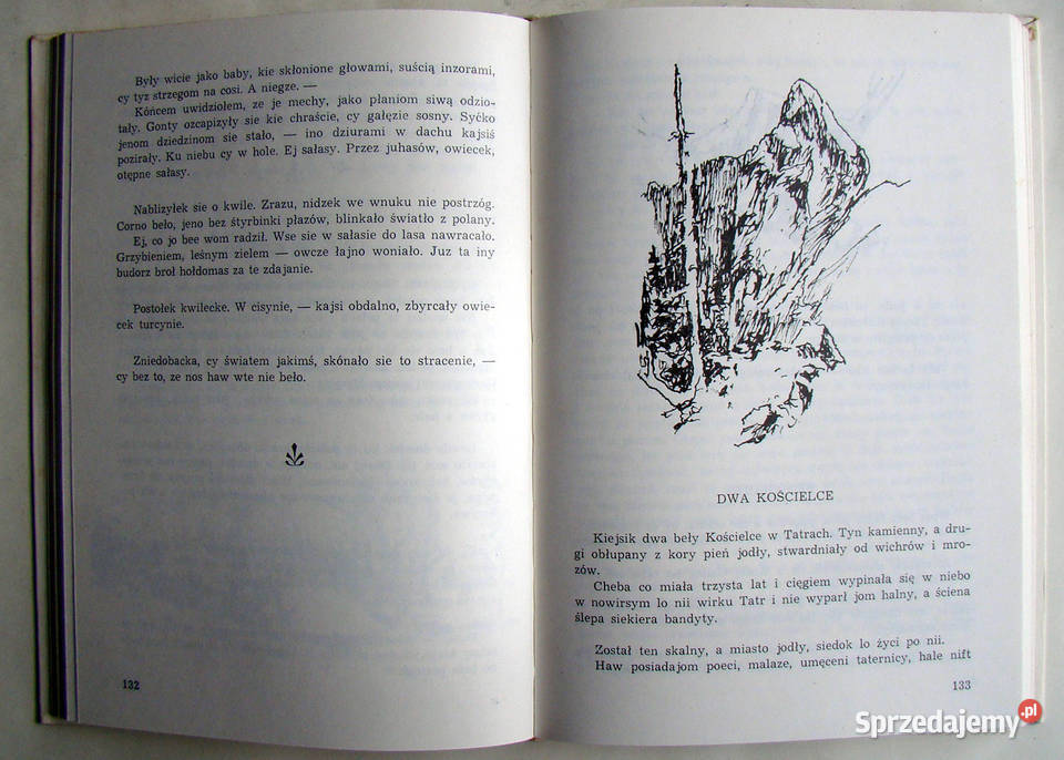 SUŚCI W TATRACH Konrad Waldemar Wabersich literatura piękna - proza polska Limanowa