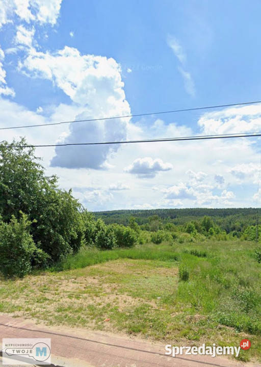 sprzedaży działki Mniów 5000 metrów