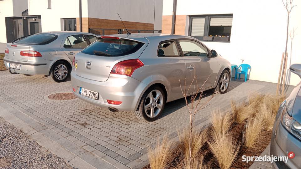 Kia proceed 16crdi 115 stan Zarejestrowany w Polsce