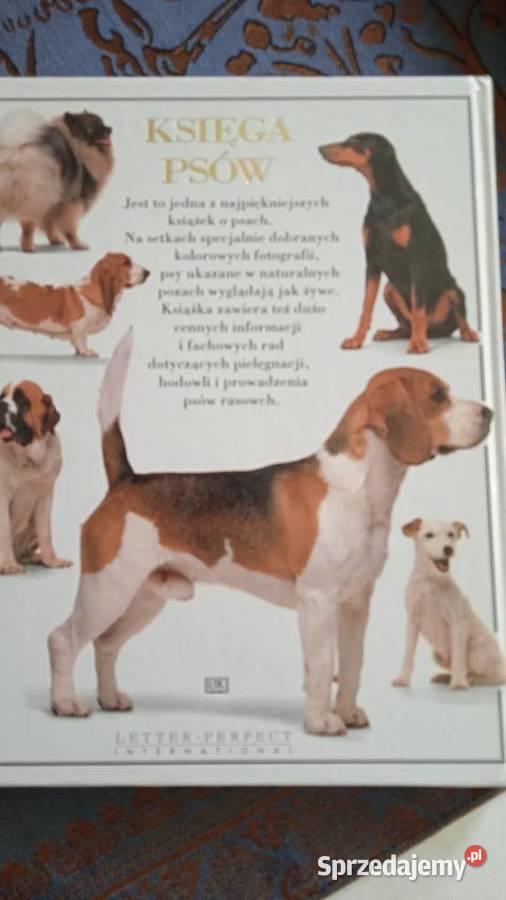 KSIĘGA PSÓW DAVID TAYLOR wydanie albumowe wielkopolskie Piła