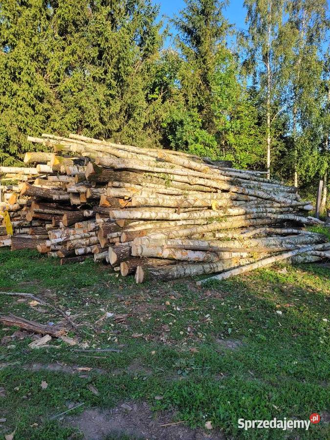Drewno opałowe Kamieniec Ząbkowicki
