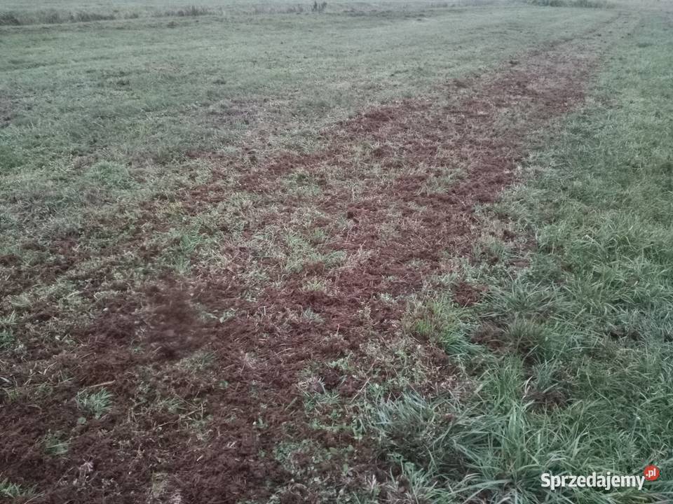 Rozrzutnik obornika adapter talerzowy Parzęczew