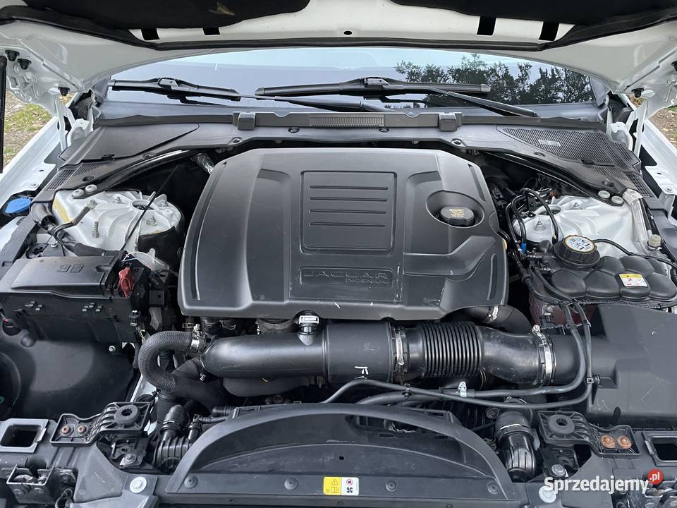 Jaguar XF 20 Benzyna 247hp 25t Premium AWD 2019 Osobnica