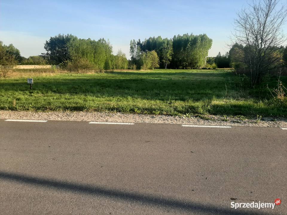 Duża działka z warunkami zabudowy Postękalice gm Bełchatów
