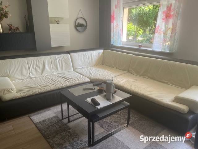 Narożnik skórzany dużyrogówka 3m3m Komplety wypoczynkowe Tarnowskie Góry