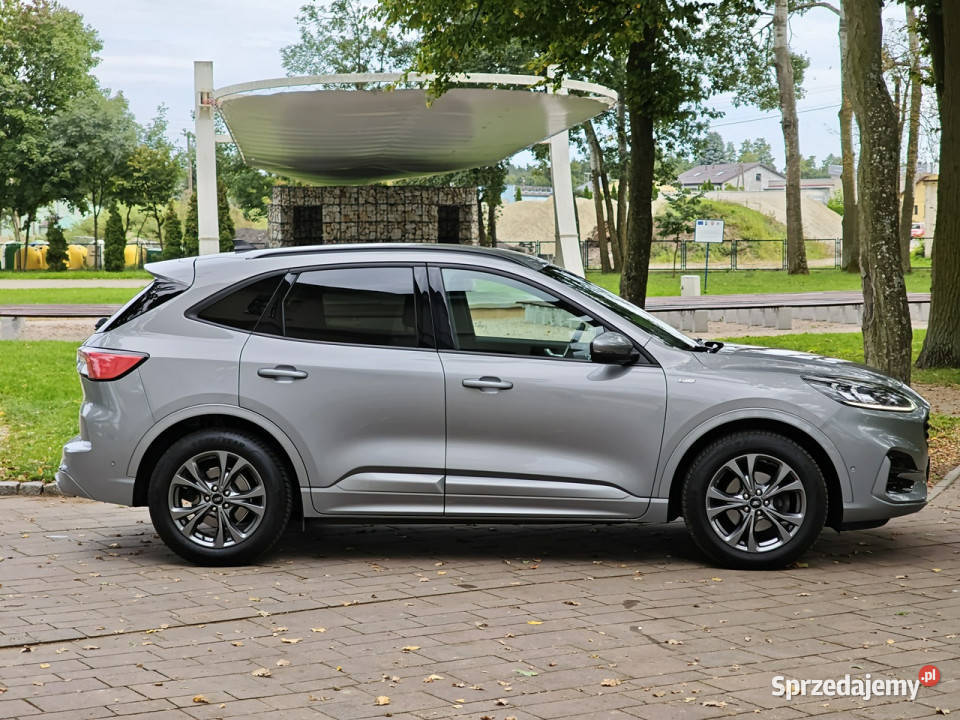 Ford Kuga III 2019 serwisowany w ASO Kuga wielkopolskie Sadlno