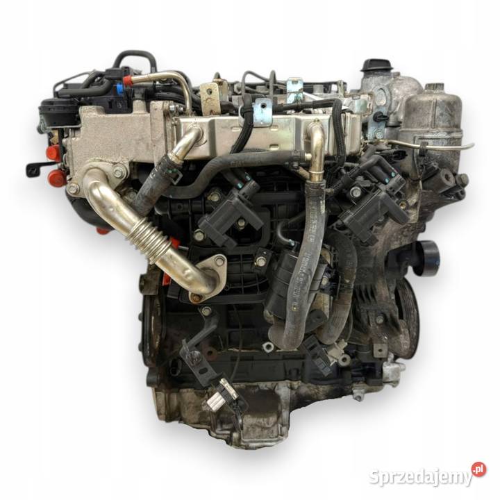 SILNIK Z20S1 Opel Antara Chevrolet Captiva 20 Chełm sprzedam