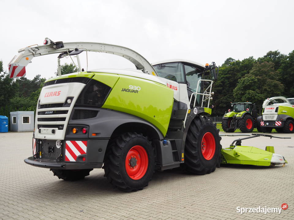Claas Jaguar 930 Orbis 600 SD Sieczkarnia polowa Samojezdne Stęszew
