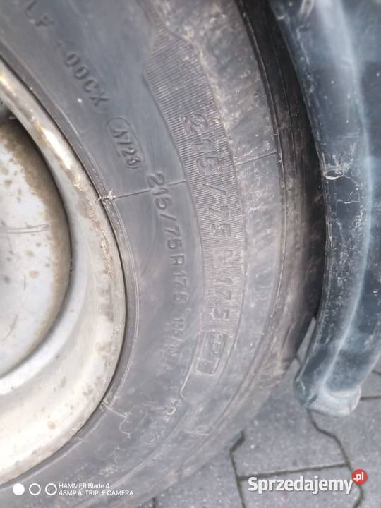 Przyczepa Trailer typ E20 Gniotpol 765x255