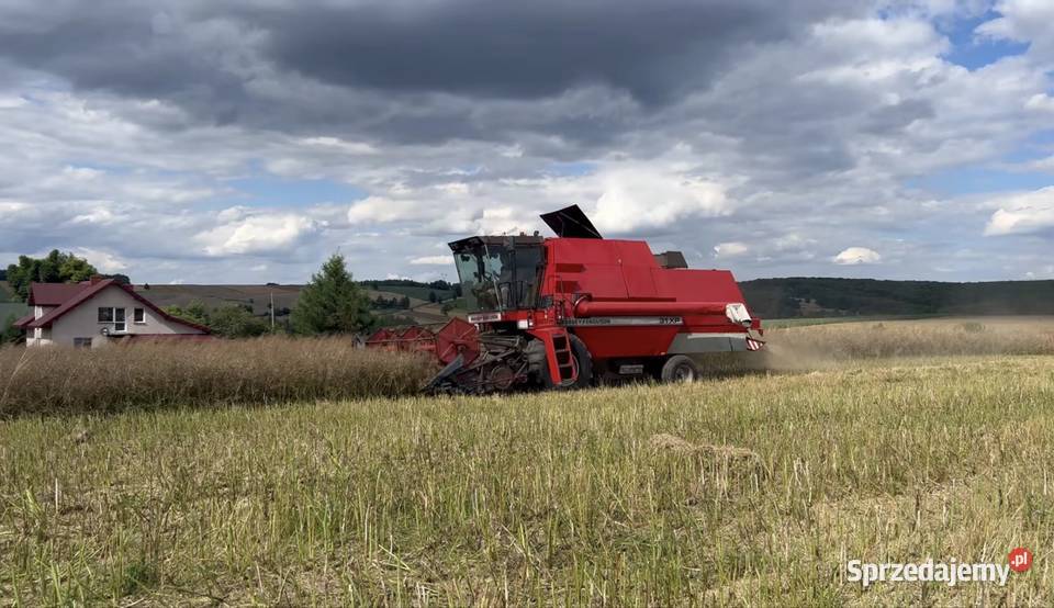 Massey Ferguson 31xp dronningborg 8500 Wierzba