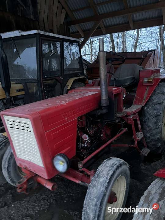 władimirec t25 do wyboru 2 sztuki Skołyszyn