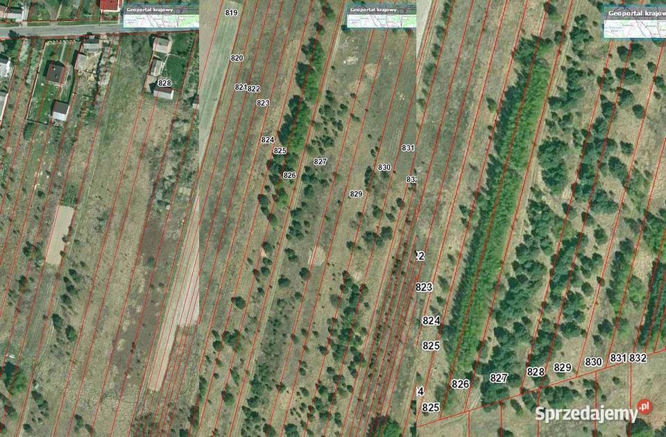 Na sprzedaż działka 175 ha Janik gmina Kunów woda świętokrzyskie